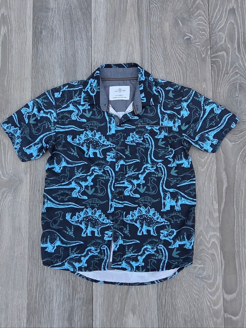 Boys' Navy & Blue Dinosaur Short-Sleeve Button-Down Shirt